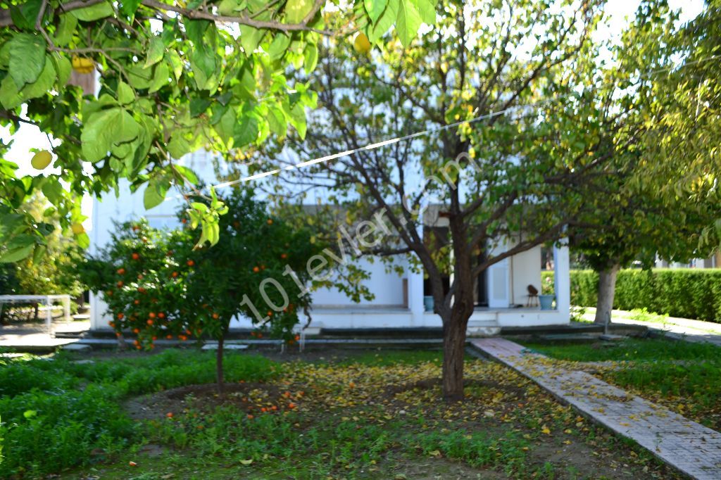 Einfamilienhaus Mieten in Karaoğlanoğlu, Kyrenia