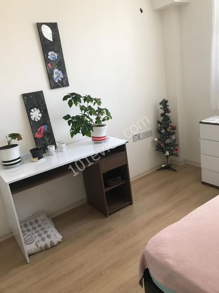 GİRNE KOTON ARKASINDA TÜRK KOÇANLI,  2+1 FULL EŞYALI DAİRE!!