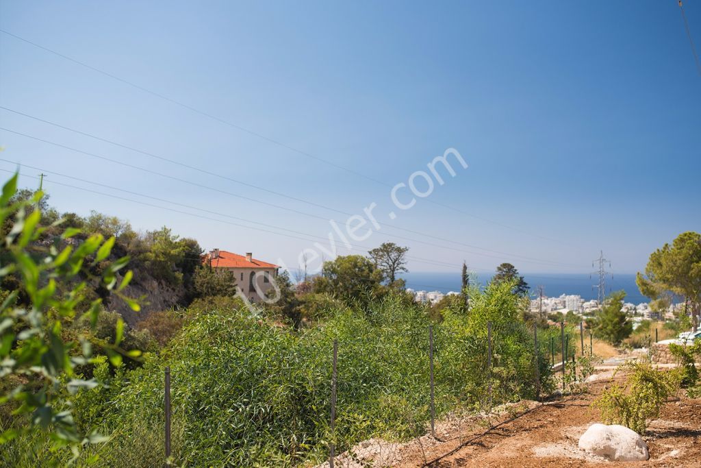 Flat To Rent in Girne Merkez, Kyrenia