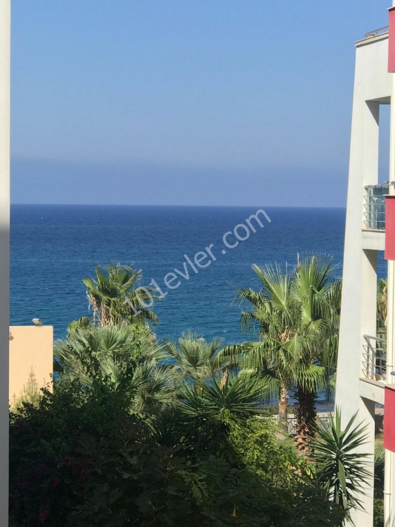 Flat To Rent in Girne Merkez, Kyrenia