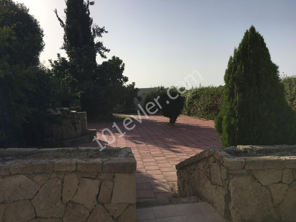 Villa To Rent in Çatalköy, Kyrenia