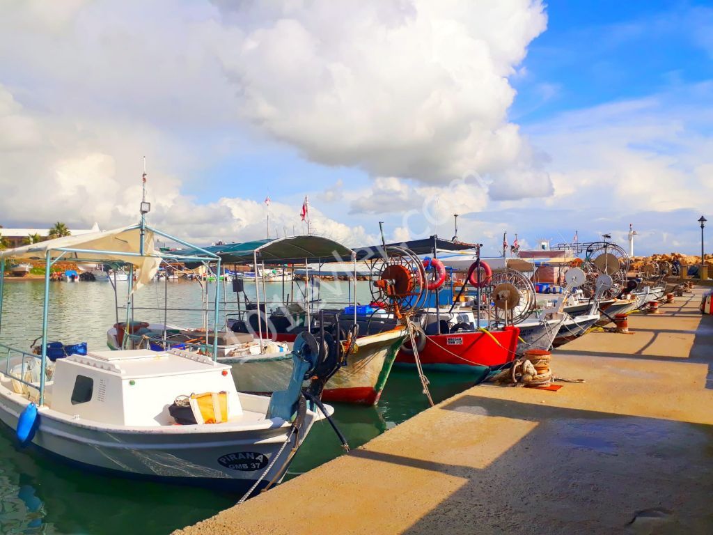 Halb freistehend Mieten in Boğaz, Iskele