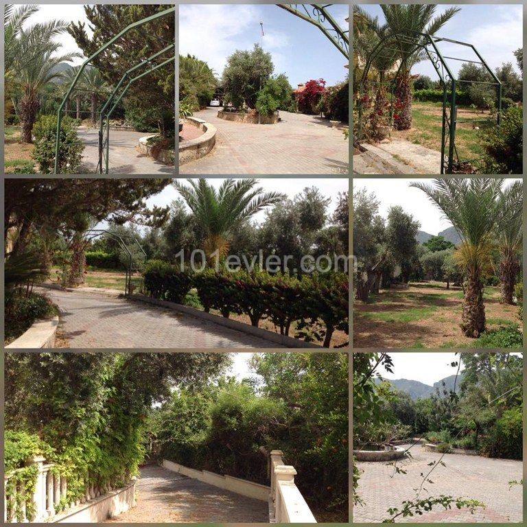 5 Bedroom and 2 Livingroom Villa For Sale With Big Piece Of Land Location on the main high way road Edremit Alsancak Girne