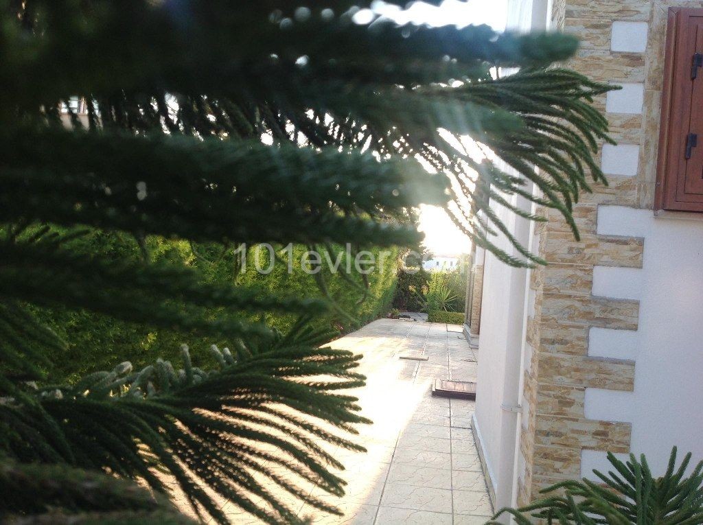 Nice 3 Bedroom Villa For Rent location Near Cratos Hotel Girne (Diana 5 minutes walking distance)