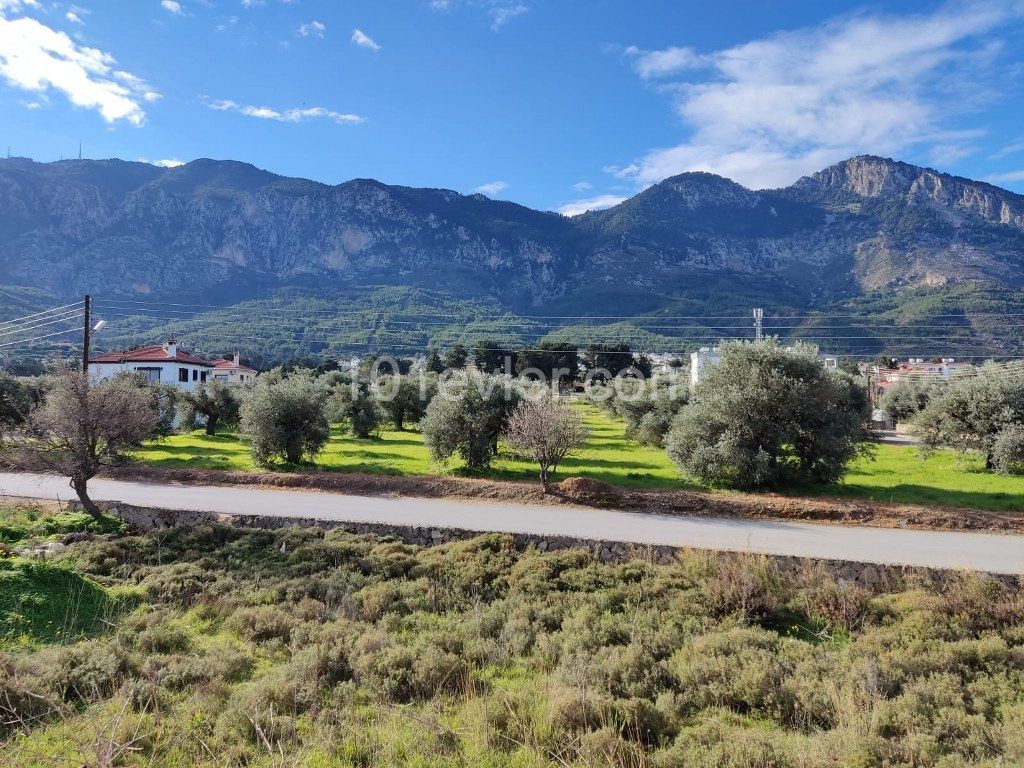 Villa Mieten in Lapta, Kyrenia