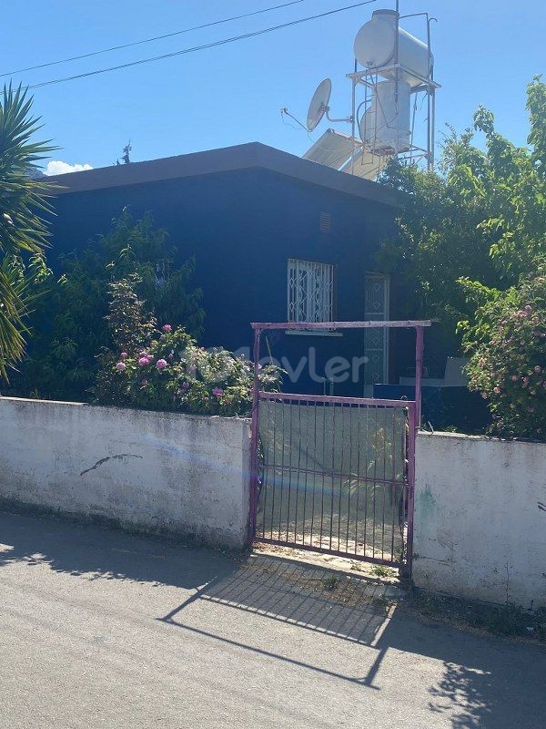 3 Bedroom House For Rent Location Near Sardunya Beach Lapta Girne