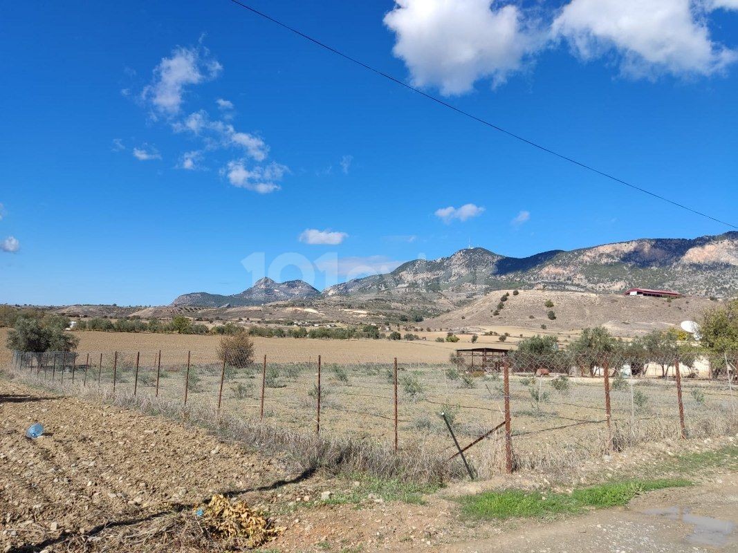 ویلا برای فروش in Şirinevler, گیرنه