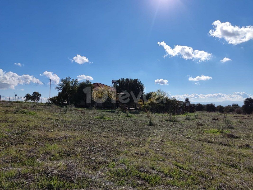 House For Sale With Big Piece Of Land Location Sirinevler Girne