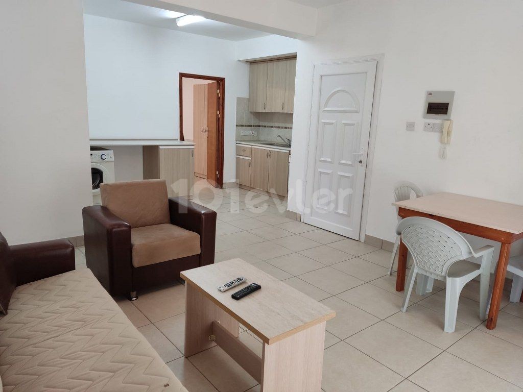 Nice 1 Bedroom Apartment For Rent Location Edremit Girne