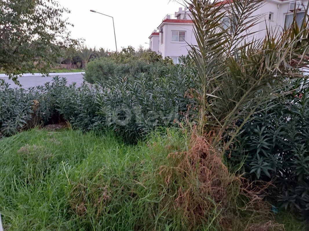 Schöne 3-Zimmer-Gartenwohnung am Meer zu vermieten, Lage Lapta Coastal Walkway Girne (Lapta Yuruyus Yolu Kyrenia) (Gemeinschaftspool)