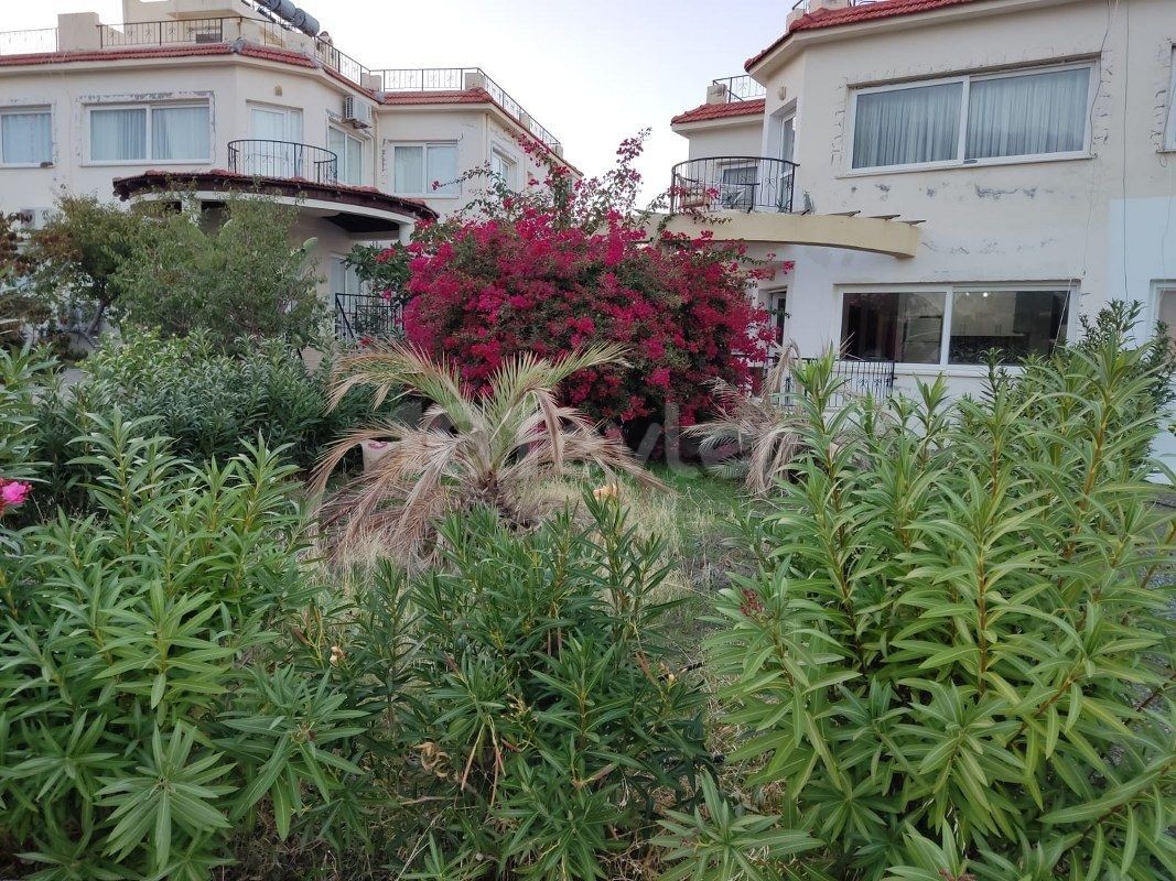 Nice Seaside 3 Bedroom Garden Apartment For Rent Location Lapta Coastal Walkway Girne (Lapta Yuruyus Yolu Kyrenia)(Communal Swimming Pool)