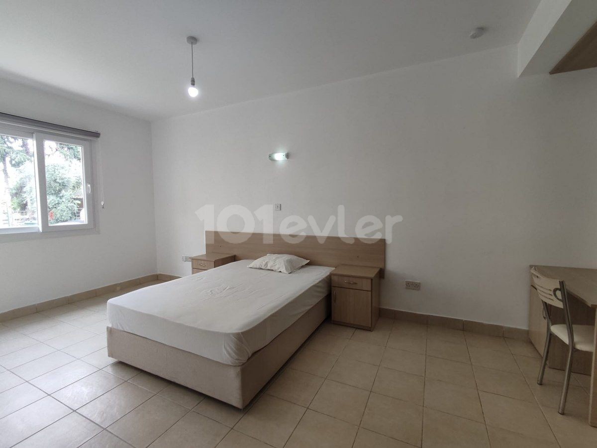 Nice 1 Bedroom Apartment For Rent Location Edremit Girne