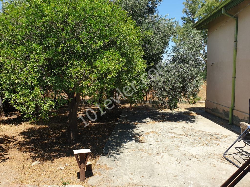 Detached House For Sale in Yukarı Bostancı, Guzelyurt