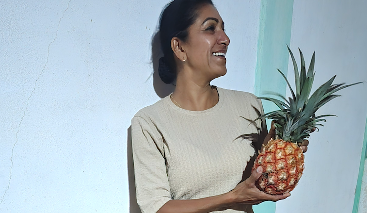 Pineapple plants Bobare
