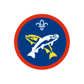 Angler activity badge