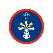Electronics activity badge