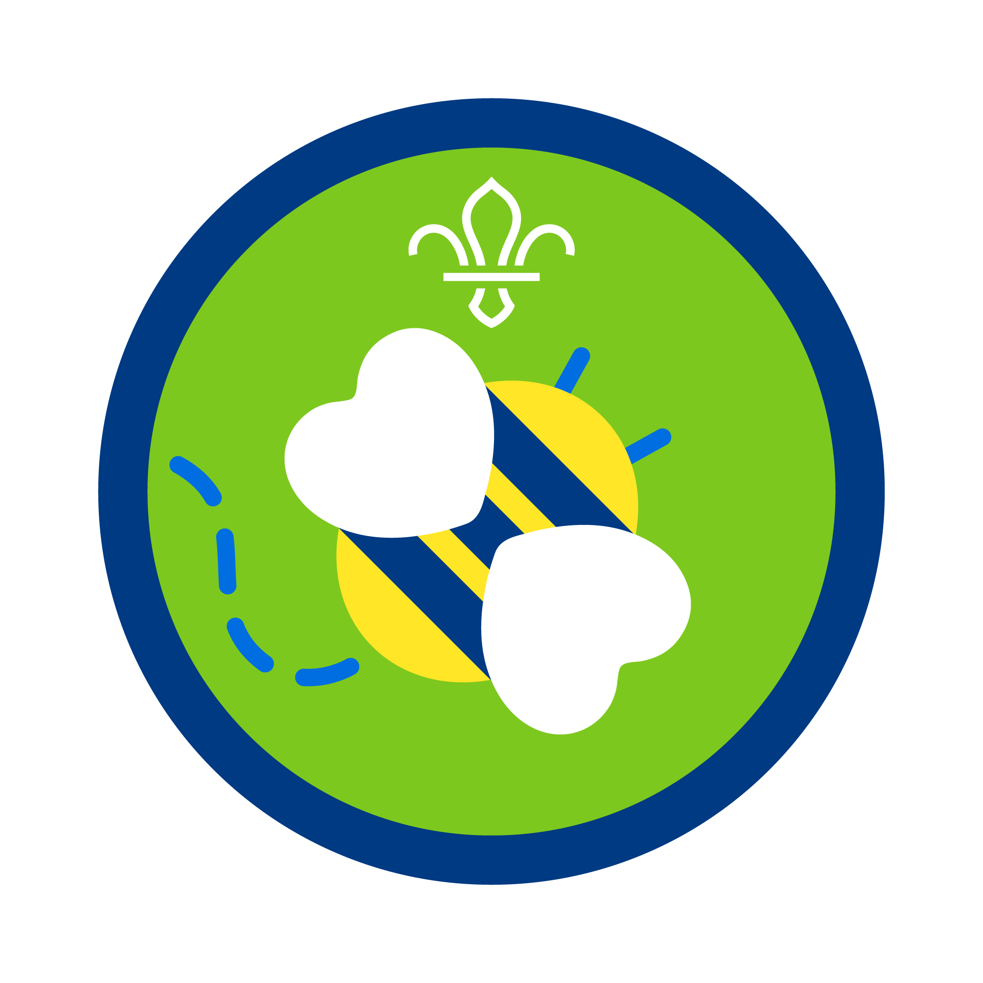 Go Wild activity badge