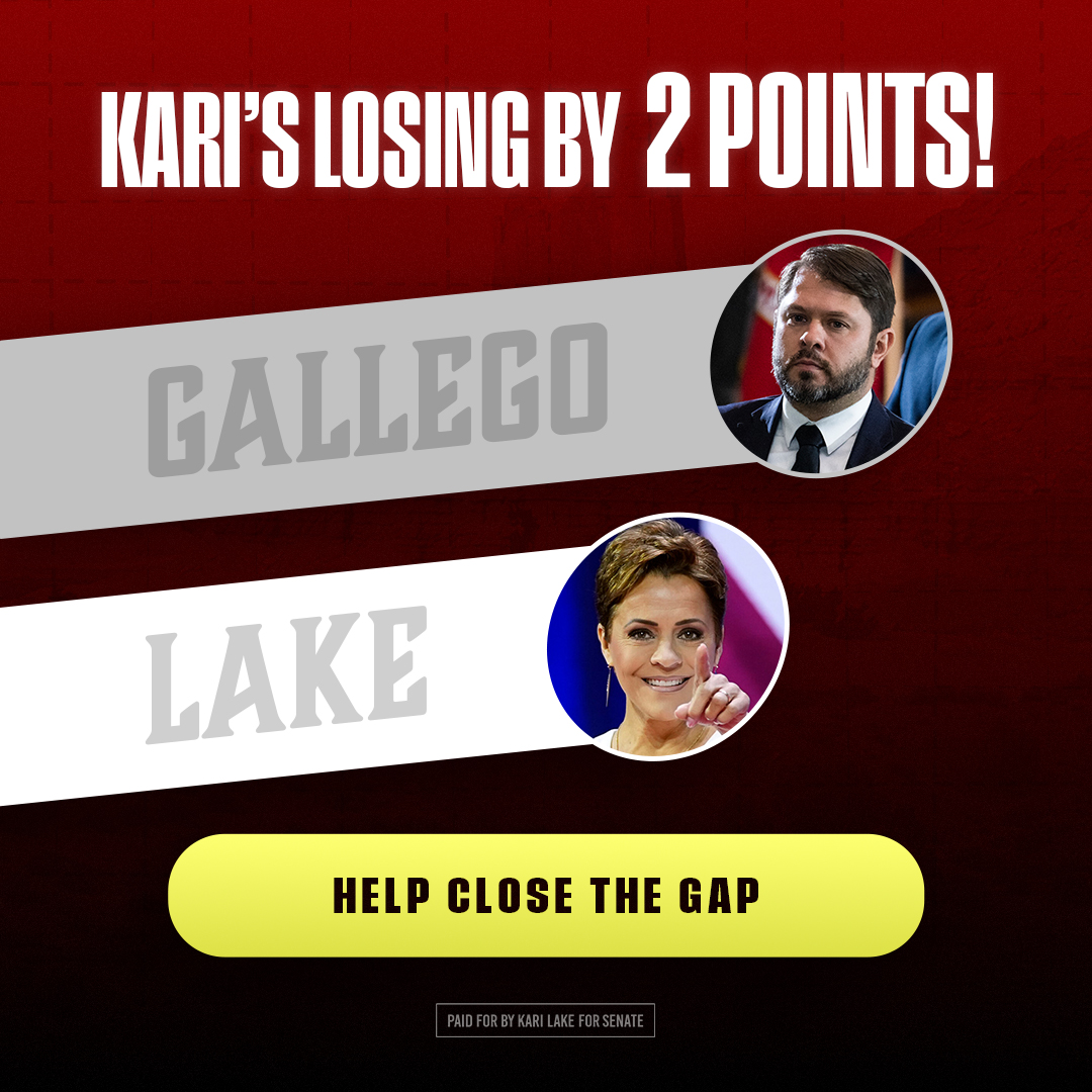 KARI LAKE FOR SENATE