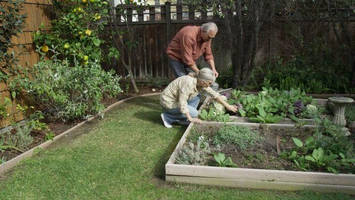 Retired couple gardening together