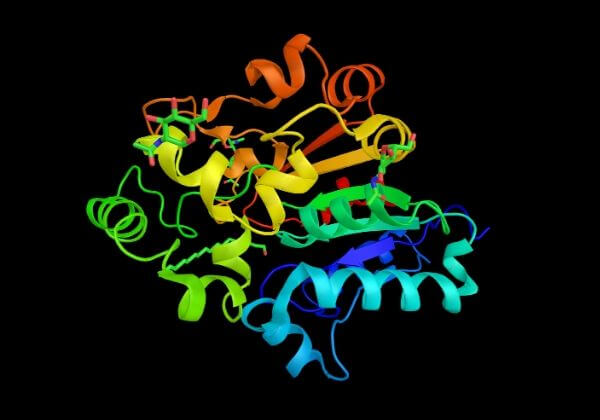  N-Acetyl Cysteine and Your Immune System 