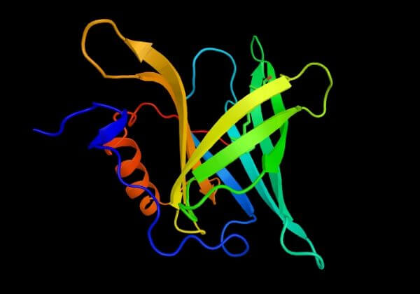 Insulin Resistance: Causes, Symptoms, and Long-Term Outlook