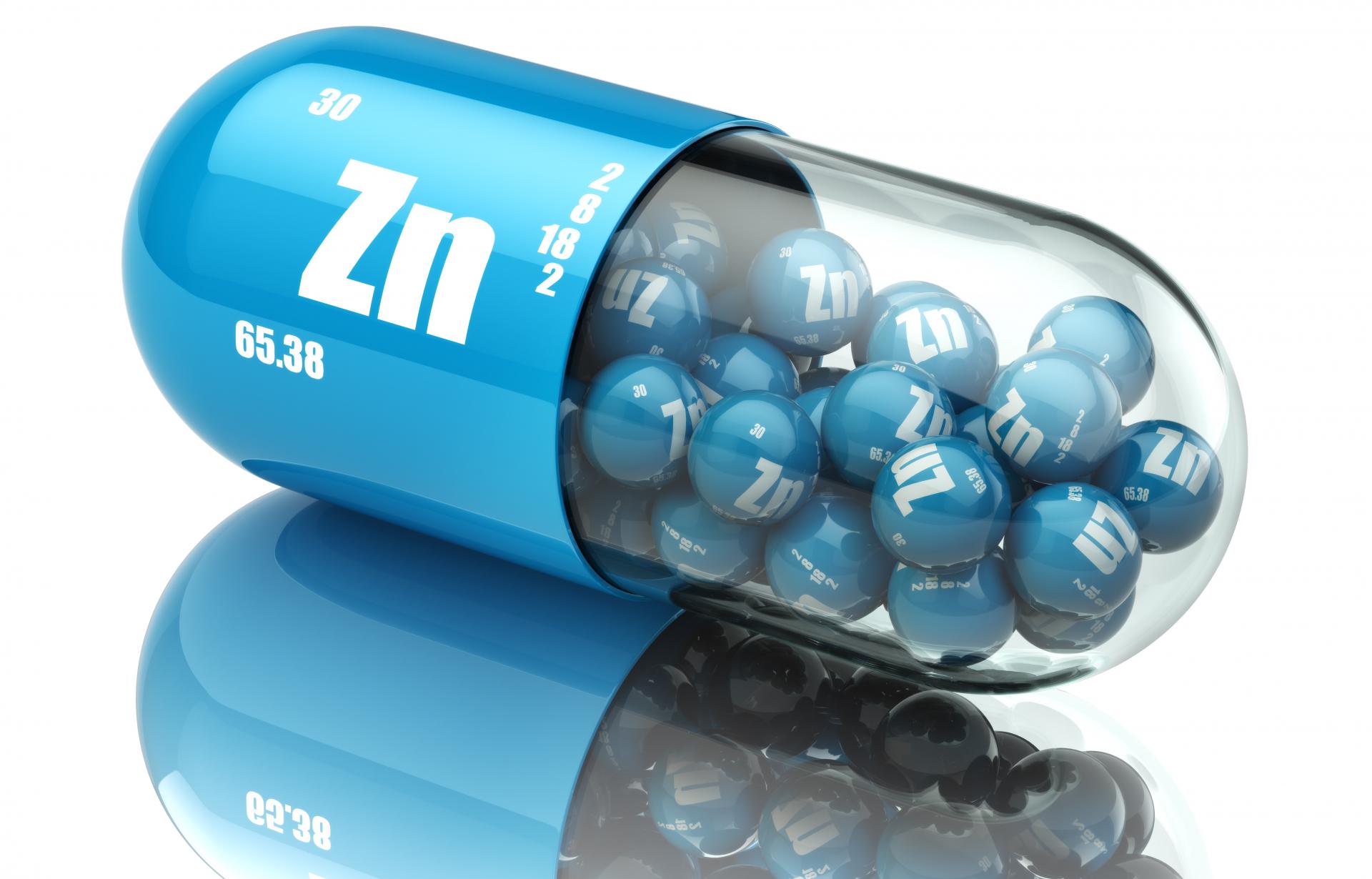 How Zinc Supports Your Immune System and More