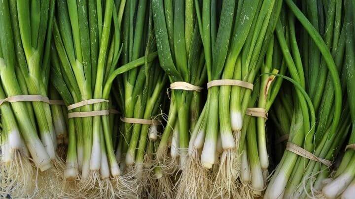 Green onions