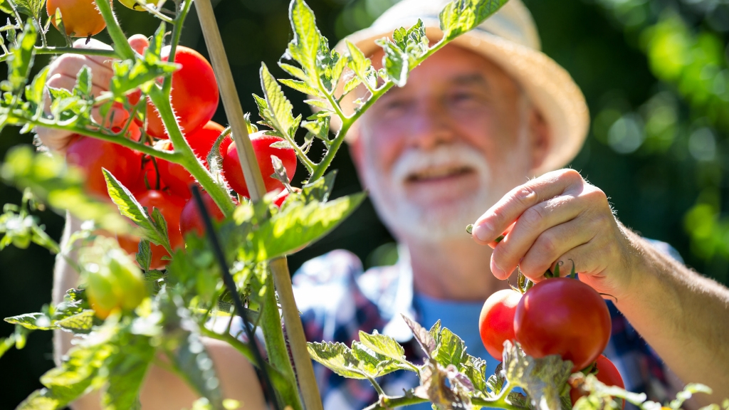 man gardening