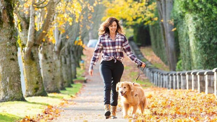 A woman briskly walking her dog