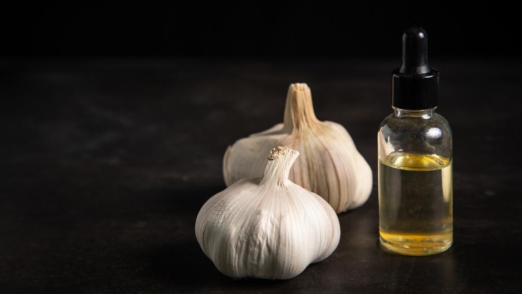 Garlic and extract