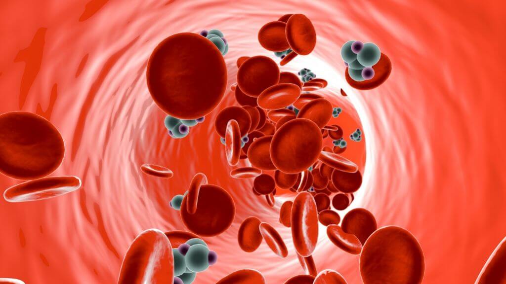 Glucose molecules in bloodstream