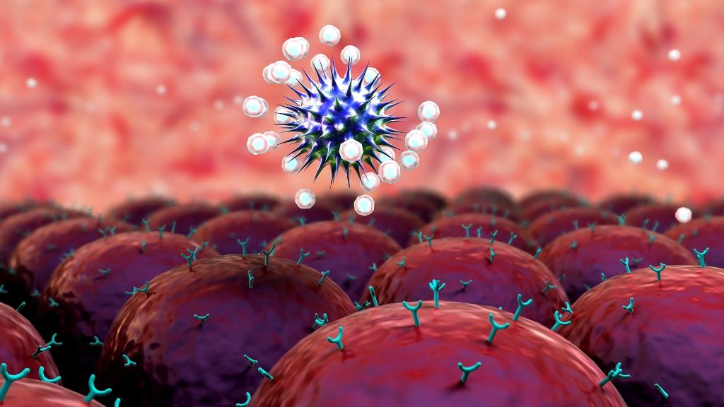 human immune system attacking a virus