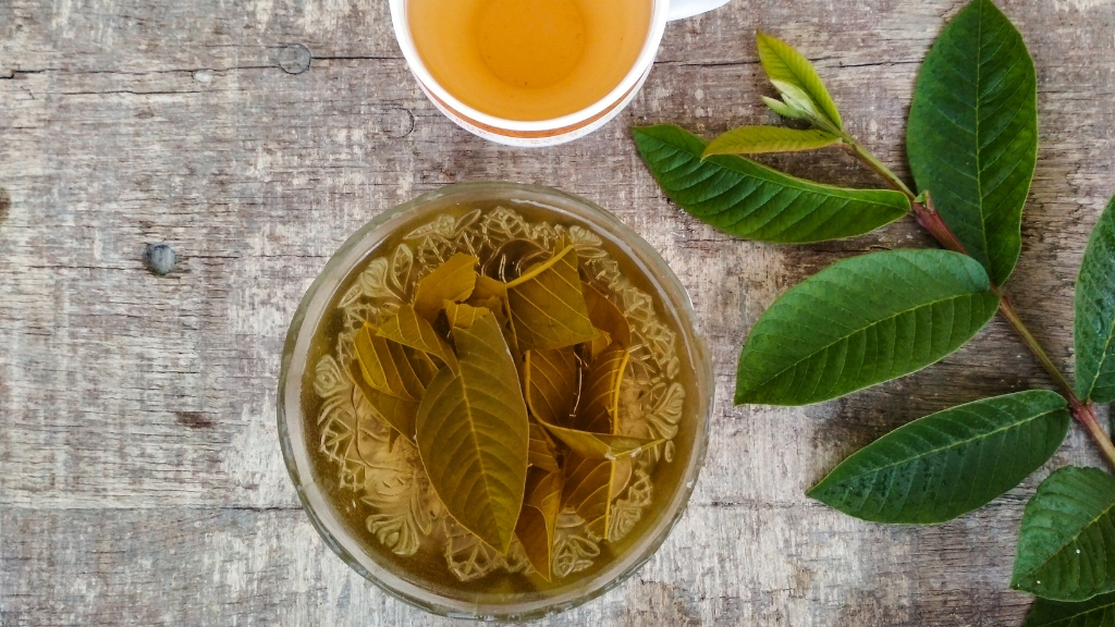 Tea made with guava leaves