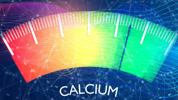 Healthy calcium levels