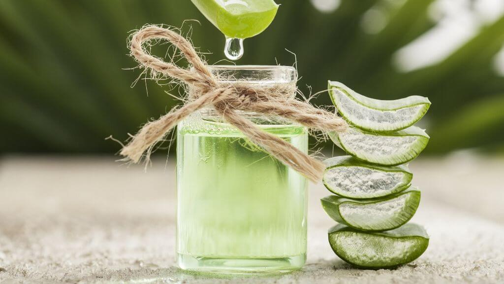 a glass jar with a plant in it