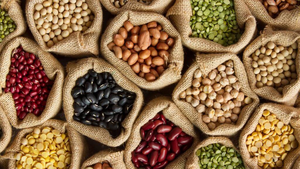 a group of different types of beans