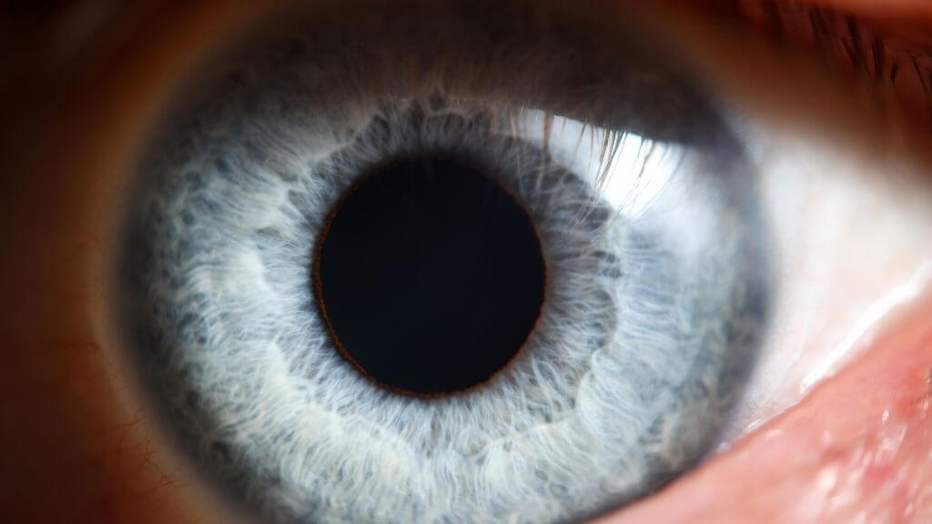 close up of an eye