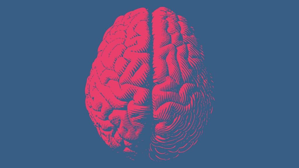 a red and blue brain