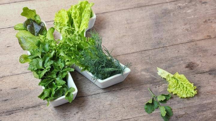 Green leafy vegetables rich in Vitamin K