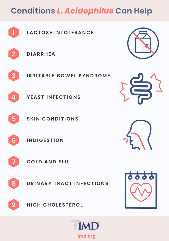 Your Guide To The Benefits Of Lactobacillus Acidophilus 1md