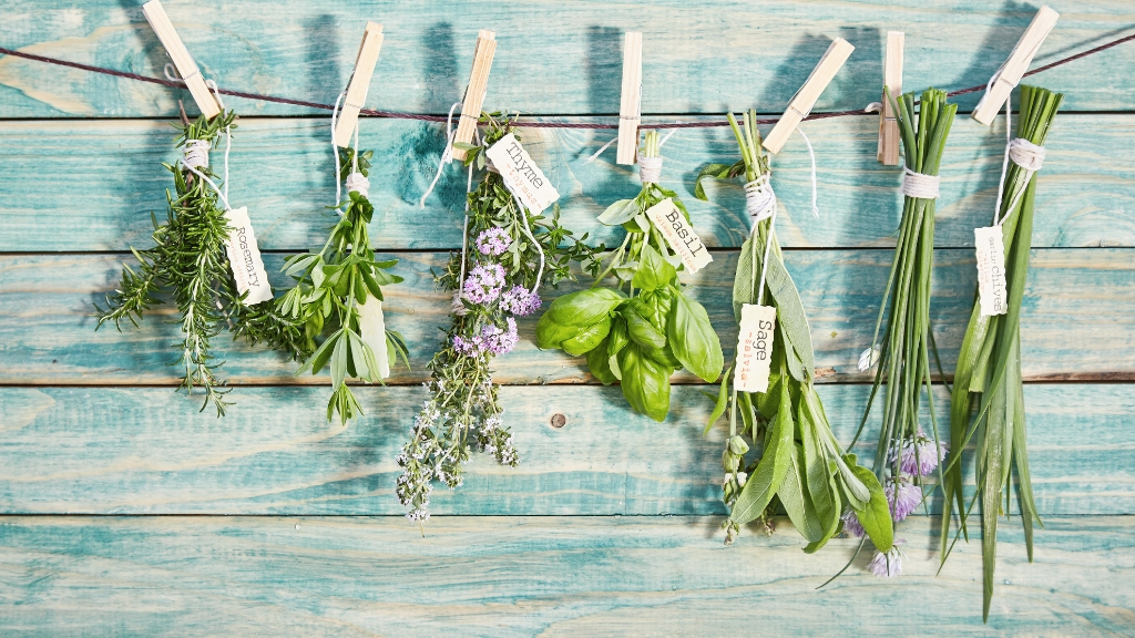 Herb Day Is the Perfect Day to Try Out These 11 Powerful Herbs 1MD