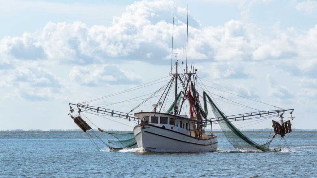 A fisher boat