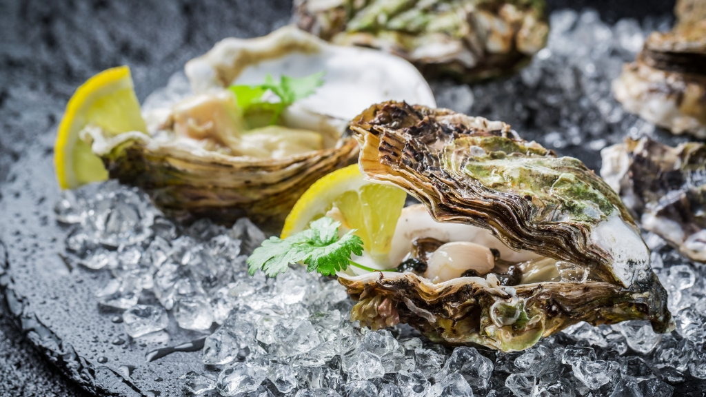 Oysters on half shell over ice