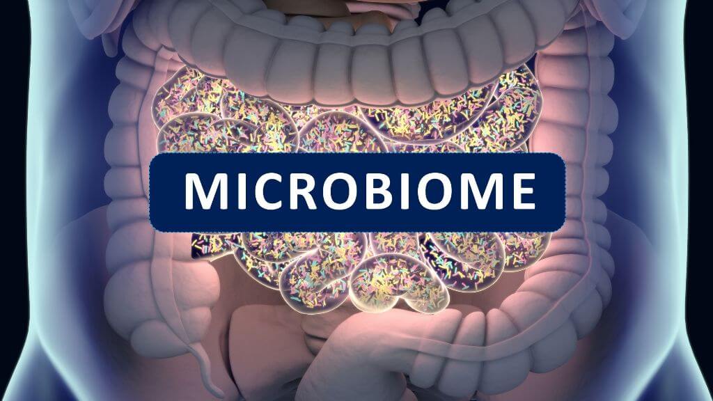 Microbiome