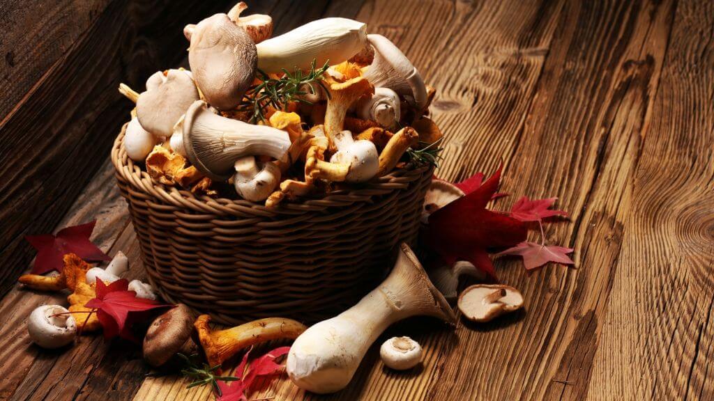 a basket of mushrooms and mushrooms