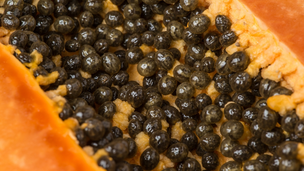 a close up of blackberries