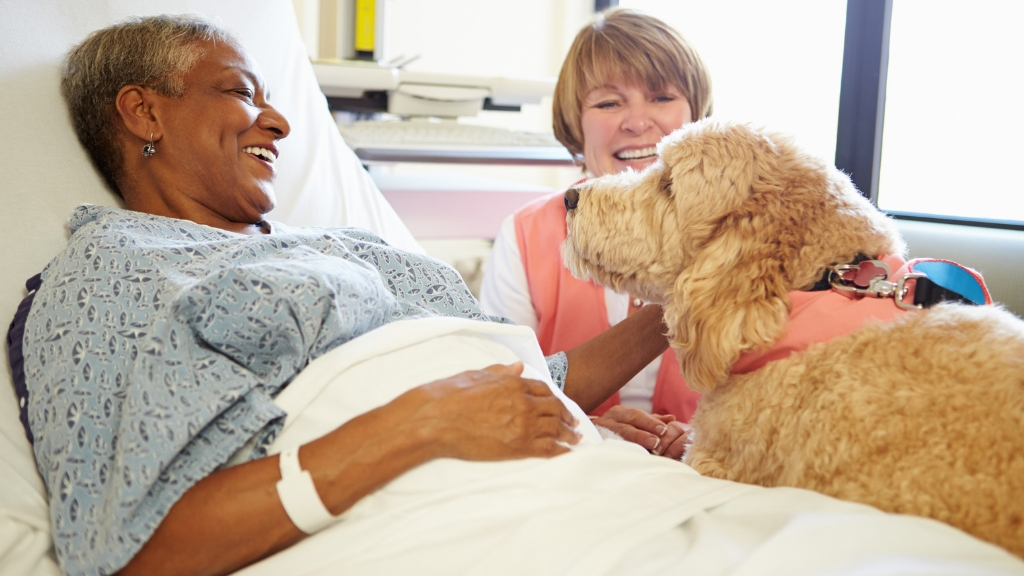 A woman visiting her friend at the hospital with her dog