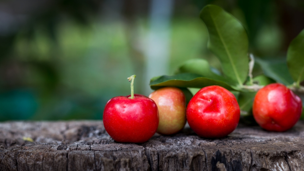 Acerola cherries