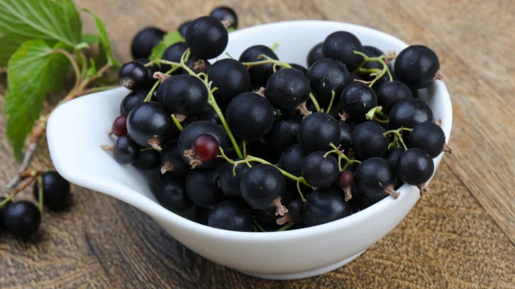 Blackcurrants