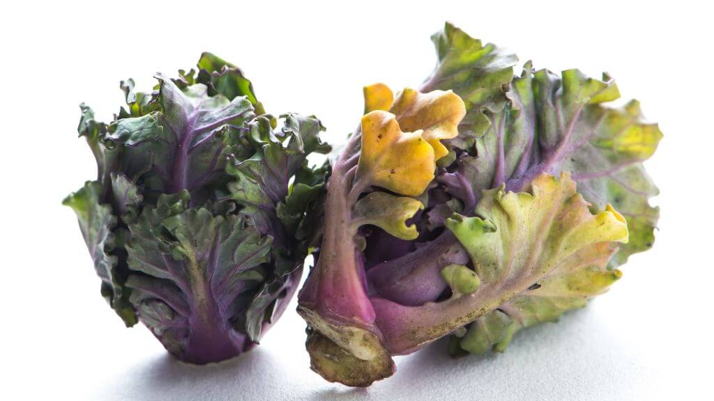 Kalettes